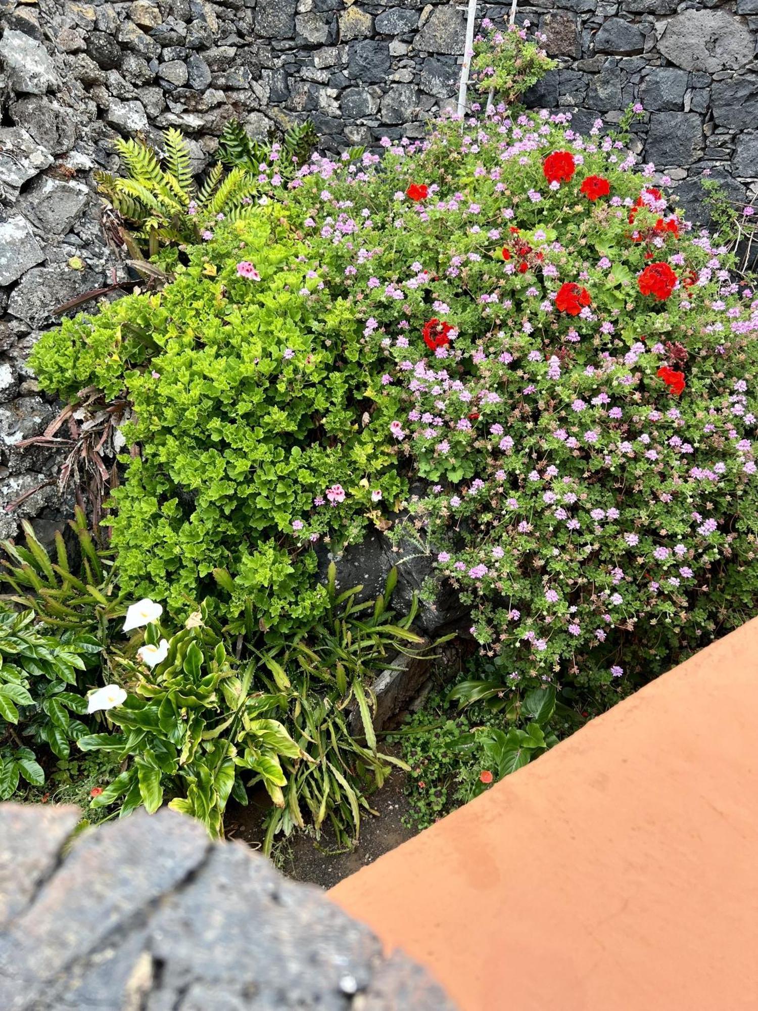 Cozy Rural House Las Guindas, El Hierro Erese Exterior photo